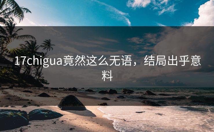 17chigua竟然这么无语，结局出乎意料