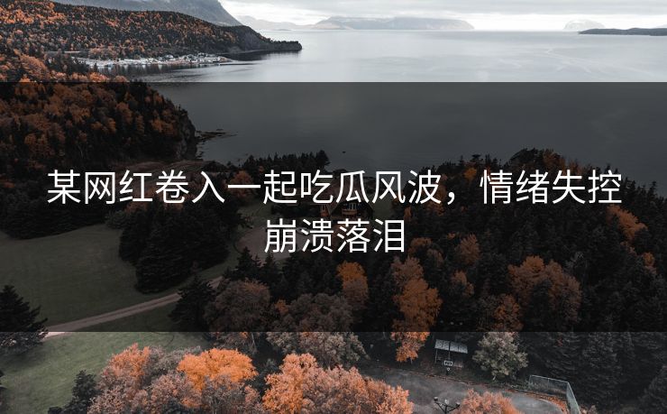 某网红卷入一起吃瓜风波，情绪失控崩溃落泪