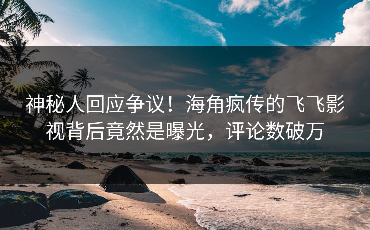 神秘人回应争议！海角疯传的飞飞影视背后竟然是曝光，评论数破万