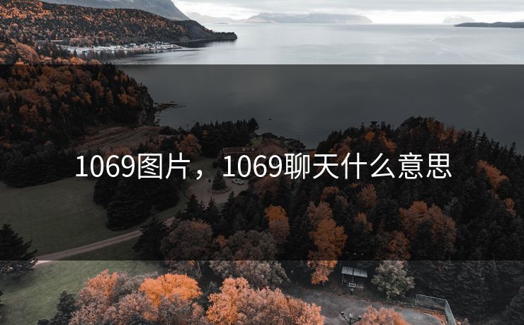 1069图片，1069聊天什么意思