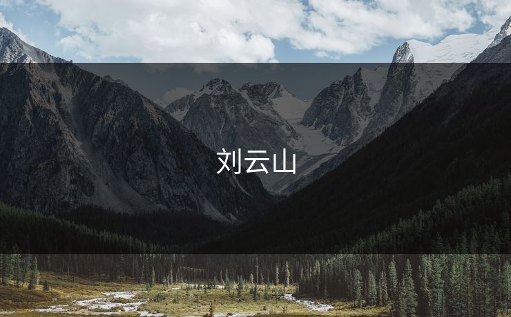 刘云山